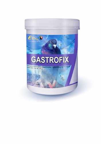 Elita-Gastrofix-250g-zdrowy-uklad-pokarmowy.jpg