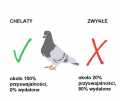 Elita-Mineral Vit-500ml-mineraly-dzialanie.jpg