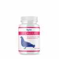 FlyVet-D3-Calcium-250ml-Witamina-D3-,wapn-dla-golebi.jpeg