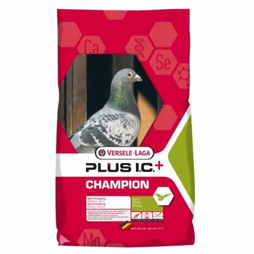 versele_laga_plus_ic_champion.jpg