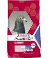 versele_laga_gerry.png