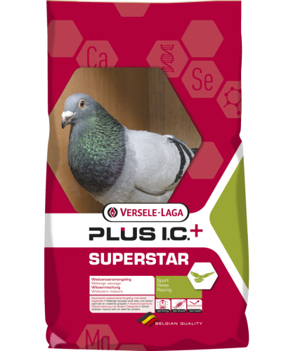 versele-laga_superstar_plus.png