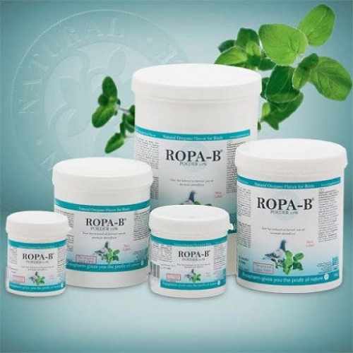 big_ropa-b-ropa-b-powder-250g-10.jpg