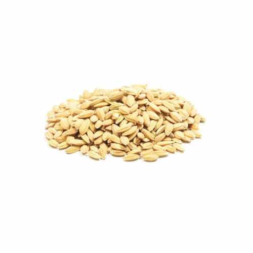 ryz-paddy-paszowy.jpg