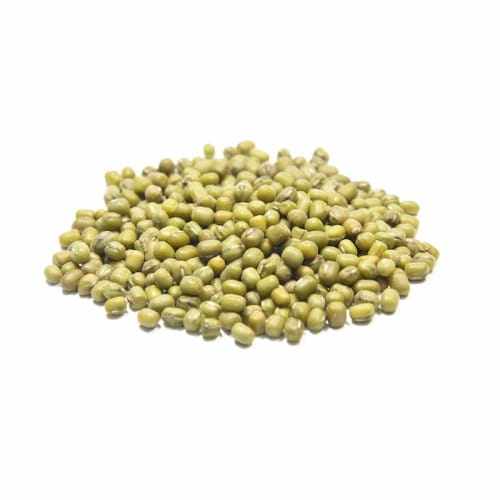 fasola-mung.jpg