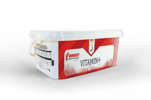 vanrobaeys-vitamin+4kg-mieszanka-mineralna-z-witaminami.jpg