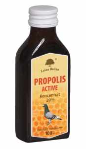 Leśna Dolina - Propolis 100 ml