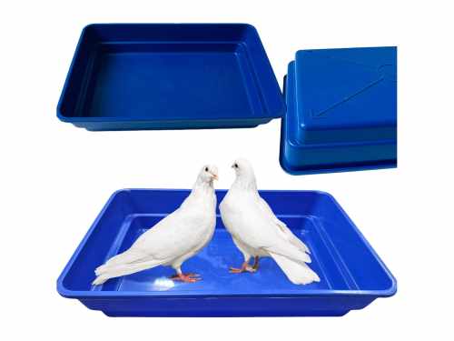 wanna-kapielowa-dla-golebi-kaczek-gesi-niebieska-60x40x10-cm-plastikowa.jpg