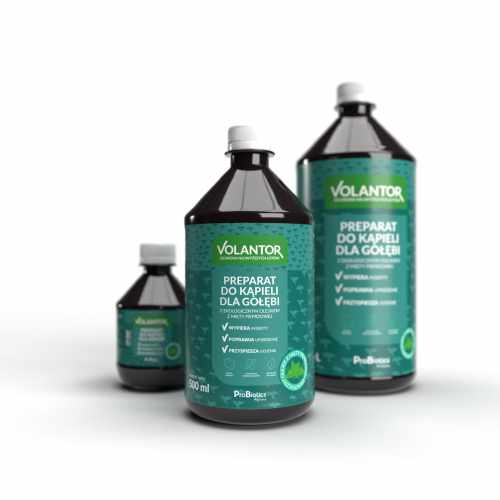 preparat focus 0.5l.jpg