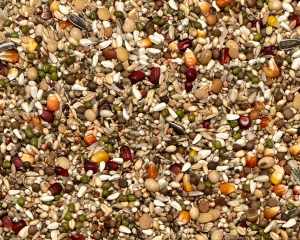 VANROBAEYS - F2 RECOVERY 20kg - Faza 2