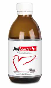 AVIMEDICA - AviBooster 250 ml - zwiększa wydolność lotową