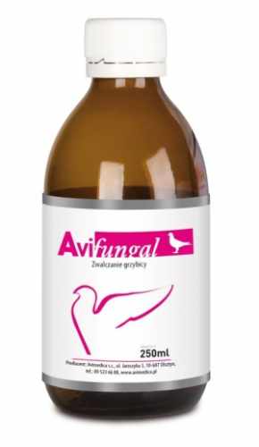 avimedica-avifungal-250ml-wspomaga-zwalczanie-grzybicy.jpg