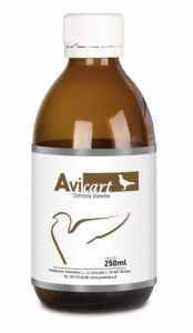 AVIMEDICA - AviCart 250 ml - wspomaga ochronę stawów