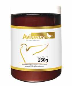 AVIMEDICA - AviMune 250 g - wspomaga układ odpornościowy