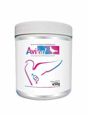 avimedica-avical-wspomaga-budowe-skorup-jaj-oraz-kosci.jpg