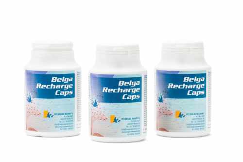 belgica-de-weerd-belga-recharge-caps-100-tabletek-preparat-bialkowy.jpg