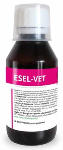 czg-esel-vet.jpg
