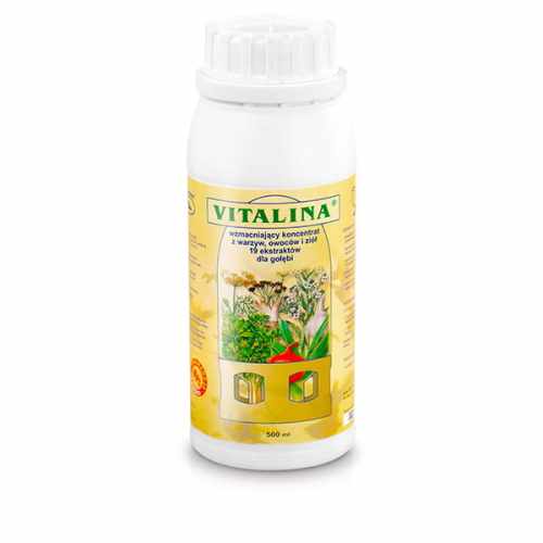 Vitalina-1.jpg