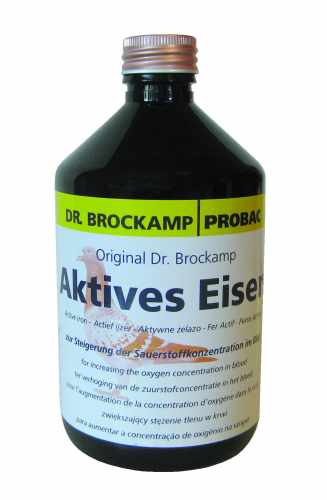 brockamp_actives eisen.jpg