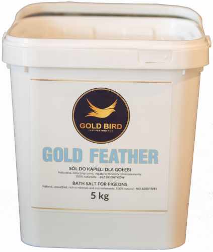 GOLD-FEATHER.jpg
