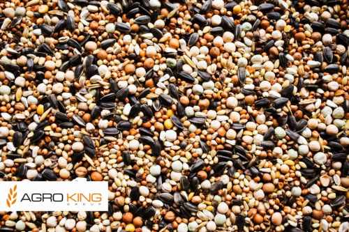 AGRO KING - BK - bez kukurydzy 25kg.jpg