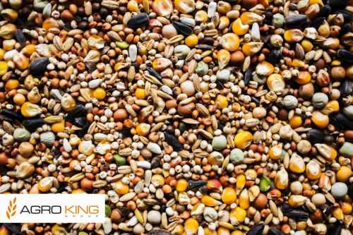 AGRO KING - BP - Bez Pszenicy 25kg.jpg