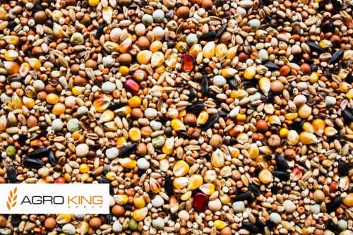 AGRO KING - DLK - Dla Krótkodziobów 25kg.jpg