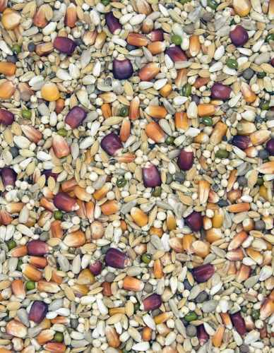 MDM - TK – TOP KONDYCJA.jpg