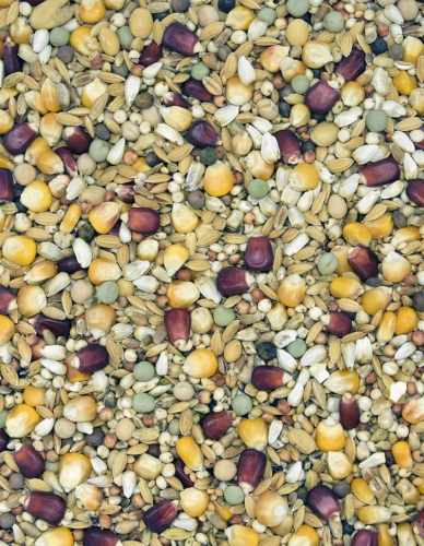 MDM - LSV - LOTOWA SUPER VERVA Z RYŻEM PADDY I ENERGETYCZNĄ KUKURYDZĄ BORDO 25kg.jpg