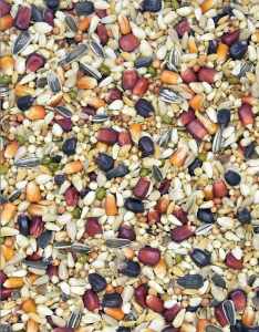 MDM - WL – WDOWIEC LOTOWY CONCORDE 25kg