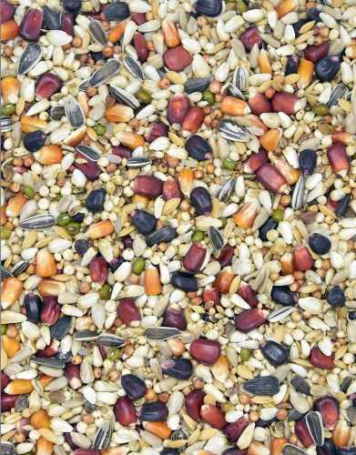 MDM - WL – WDOWIEC LOTOWY CONCORDE 25kg.jpg