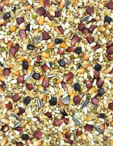 MDM - LF – LOTOWA F16 25kg.jpg