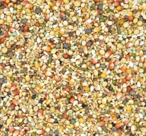 MDM - PME-2 PERSONAL MIX 2 EXCELLENT 25kg