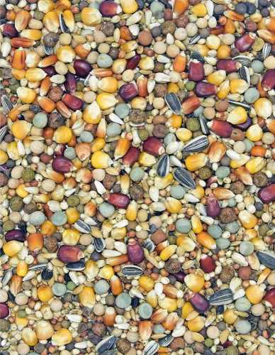 MDM - RL – ROZPŁODOWO-LOTOWA BEZ PSZENICY Z EKSTRA SŁODKĄ KUKURYDZĄ BORDO I GRITZ 25kg.jpg