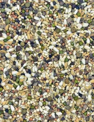 MDM - DB – DIETA BOOSTER 25kg.jpg