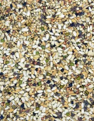 MDM - DS – DIETA SPECJAL 25kg.jpg