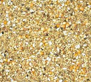 MDM - PME-1 PERSONAL MIX 1 EXCELLENT 25kg