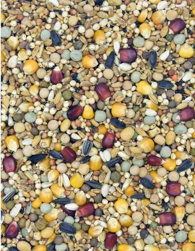 MDM - PP – PIERZENIOWA PREMIUM 25kg.jpg