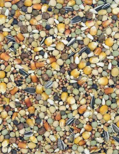 MDM - PE - PIERZENIOWA EXTRA PROTEIN 25kg.jpg