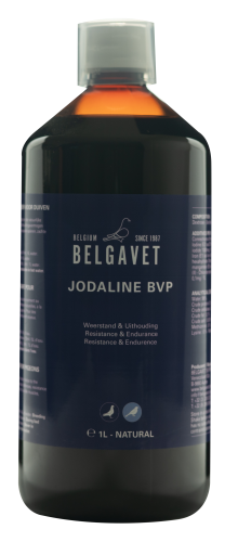 298-016_Jodaline BVP (1 l).png