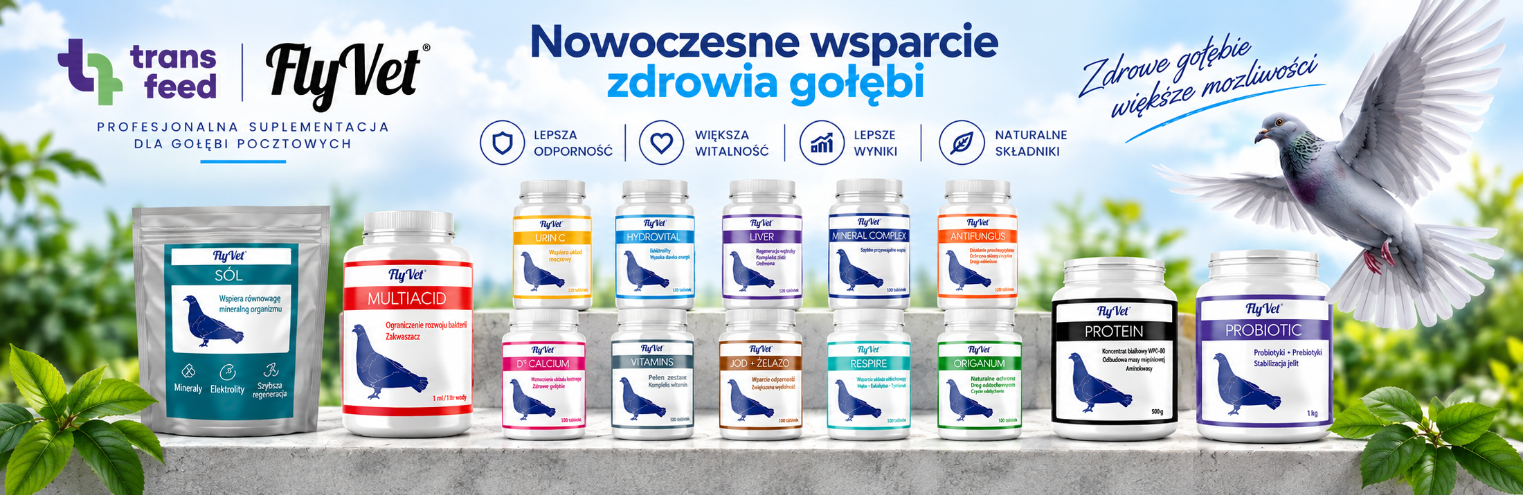 FlyVet